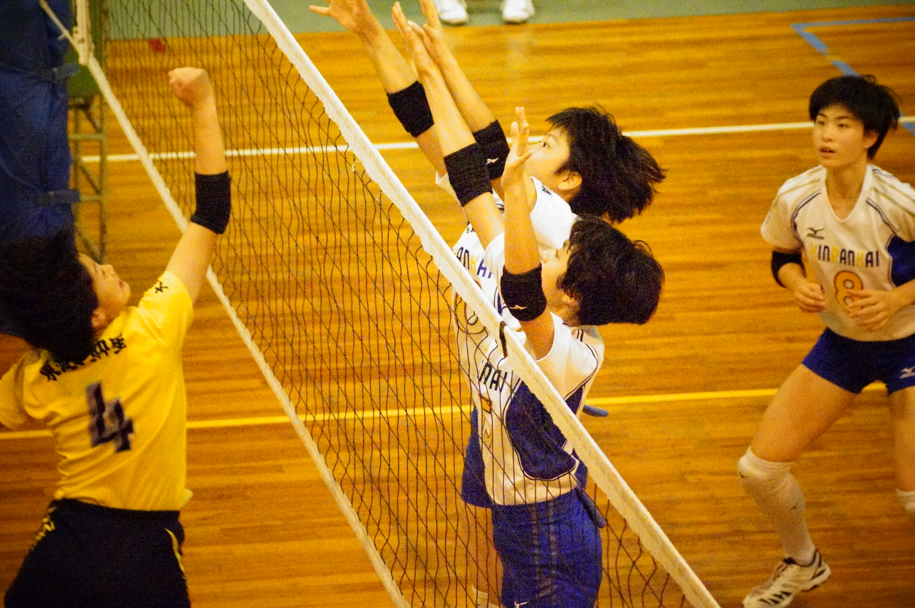 中学バレーボール部 第74回 大阪中学校秋季総合体育大会