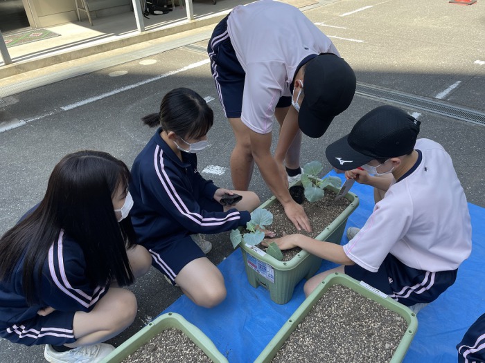 中学３年生　食育「金蘭ファーム」;